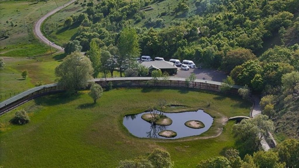 Uluslararası düzeyde korunan alanlarda ceza ve denetimler artacak