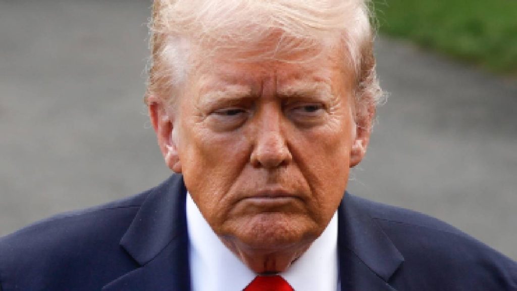 ABD’de 9 Japon şirketi Trump yönetiminin tarifelerine karşı dava açtı