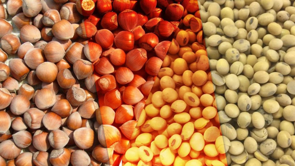 Tarım, gıda ve içecekte 2025’in 11 ayında 24,79 milyar dolarlık ihracat